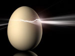 Egg cracking open